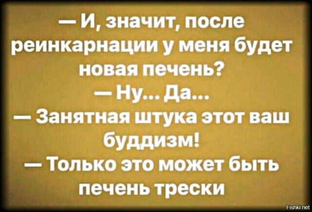 в И значит после инкарнации у меня будет но жив Ну дд Зяиятшштуказтотиш буддизм г Тмько это может быть ПОЧЕМ ТРОФЕИ