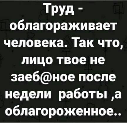 Труд облагораживает человека Так что лицо твое не заебное после недели работы а облагороженное