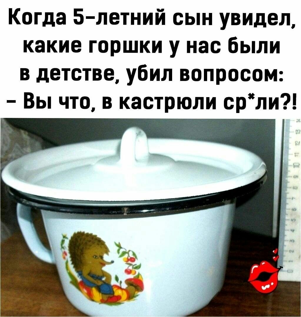 Когда 5 летний сын увидел какие горшки у нас были в детстве убил вопросом Вы что в кастрюли срли