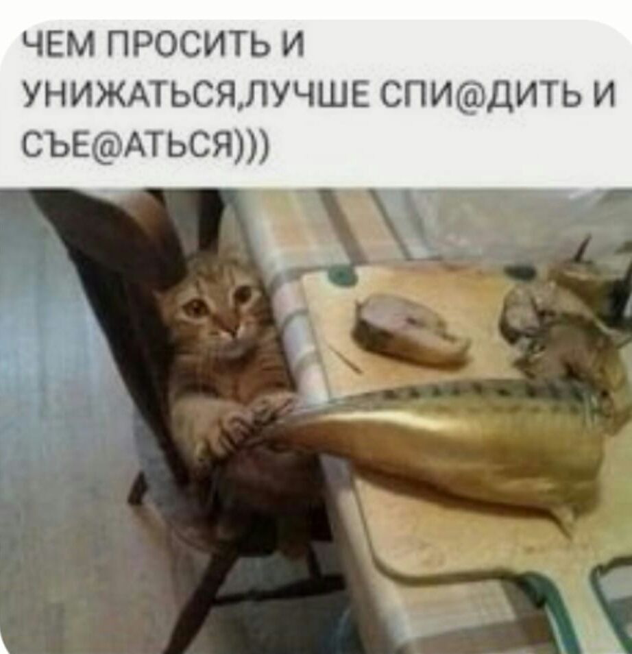 ЧЕМ ПРОСИТЬ И УНИЖАТЬСЯЛУЧШЕ СПИДИТЬ И СЪЕАТЬСЯ
