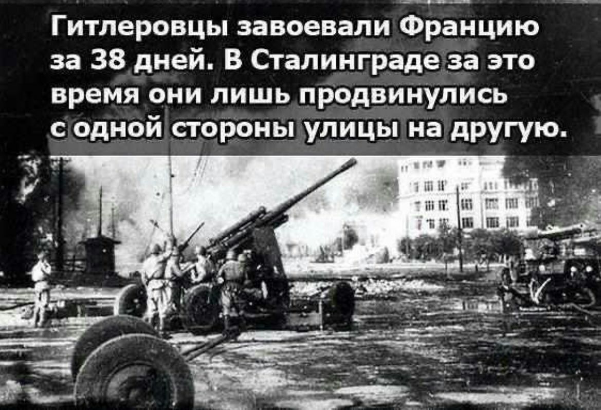 Гитлеровцы завоевали Францию за 38 дней В Сталинграде за это время они лишь продвинулись одной стороны улицы на другую