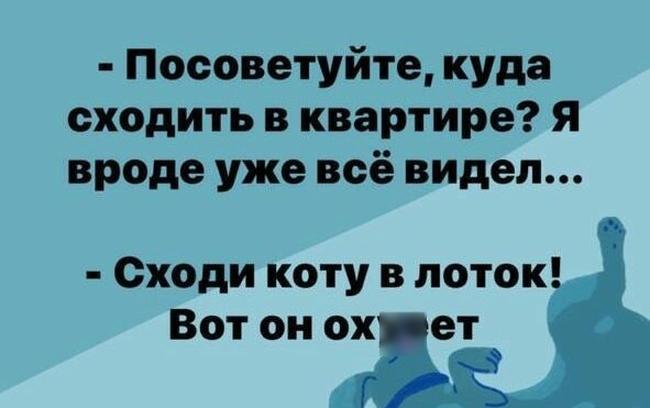 Посоветуйте куда сходить в квартире я вроде уже всё видел Сходи коту в поток Вот он ох ет