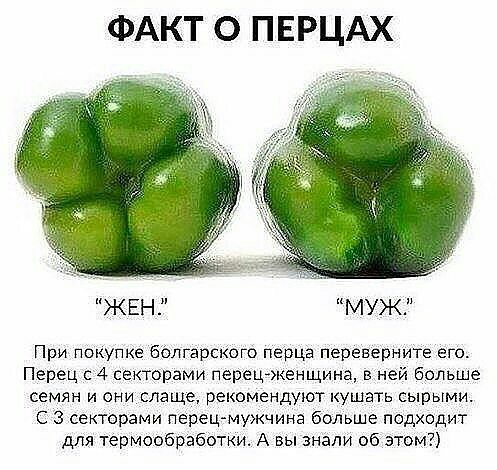 ФАКТ О ПЕРЦАХ ЖЕН МУЖ При покупке болгарского перца переверните его Перец 4 секторами перешженщина в ней больше СЕМЯН И ОНИ СЛЭЩЁ рекомендуют КУШЭТЬ СЫВЫМИ с з секторами перец мужчина больше подходит для термообработки А вы знали об этом