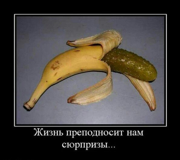 Жизнь преподносит нам сюрпризы