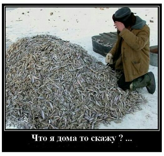 Что и Дом то клич