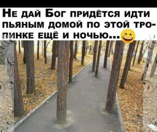 НЕ дли Бог придётся идти пьяным домой по этой тро
