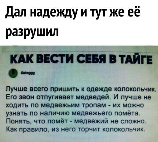 Дал надежду и тут же её разрушил Лучше тт пришить к од жде полотнищ Его мои ними авт птица и лучше не ходить по медвежьи тропам их можно узнать по наличию медвежьего помёта Понять что помёт ивдвежий не сложно Как правитэ из него торчит Копоюпьчик