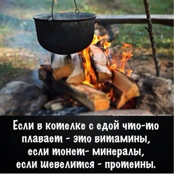 _ Если котолкв с едой что шо плавает это витамины если монет мииераиы если ШЕВБАИШОЯ протеины