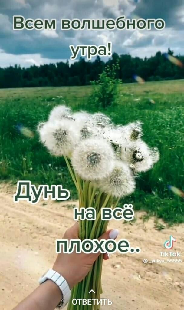 д Всем волшебного