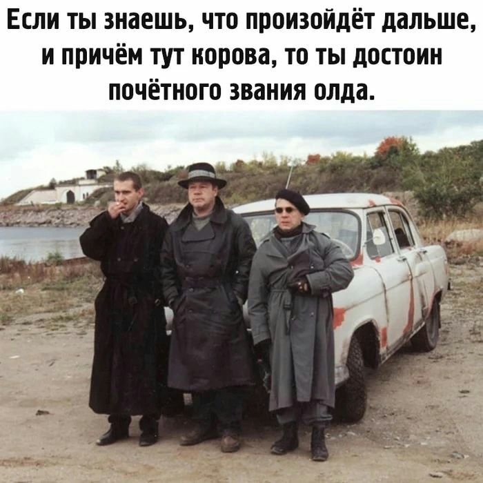 Если ты знаешь что произойдет дальше и причём тут норова то ты достоин почётного звания олда