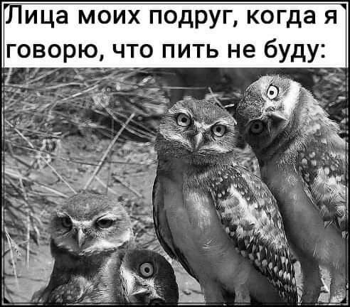 Щица моих подруг когда я говорю что пить не буд