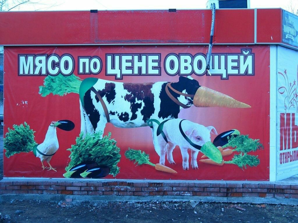 __ГД Ёлясо по цвнвов Ей