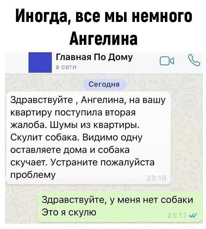 Иногда все МЫ НЕМНОГО Ангелина Главная По дому СЮ Сегодня Здравствуйте Ангелина на вашу квартиру поступила вторая жалоба Шумы из квартиры Скупит собака Видимо одну оставляете дома И СОбЭКЭ скучает Устраните пожалуйста проблему Здравствуйте у меня нет собаки Это я скупю