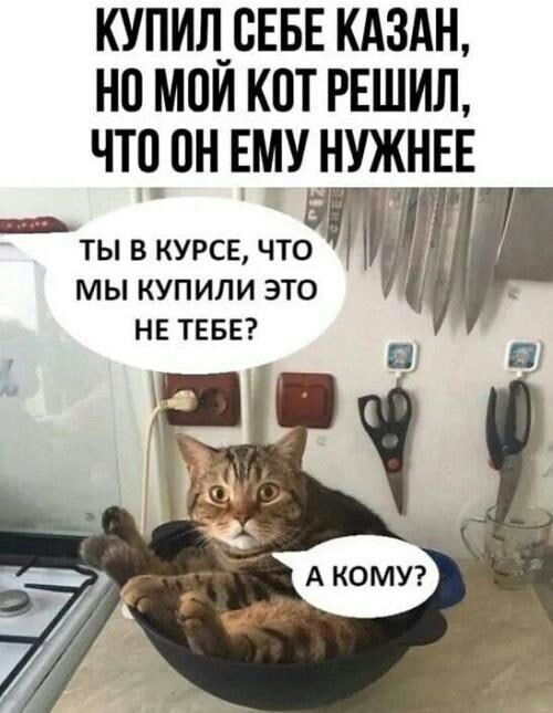 КУПИЛ_СЕБЕ КАЗАН НП МПИ КОТ РЕШИЛ ЧТЧ 0Н ЕМУ НУЖНЕЕ инь ТЫ В КУРСЕ ЧТО МЫ КУПИЛИ ЭТО _ НЕ ТЕБЕ _