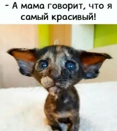 А мама говорит что я самый красивый
