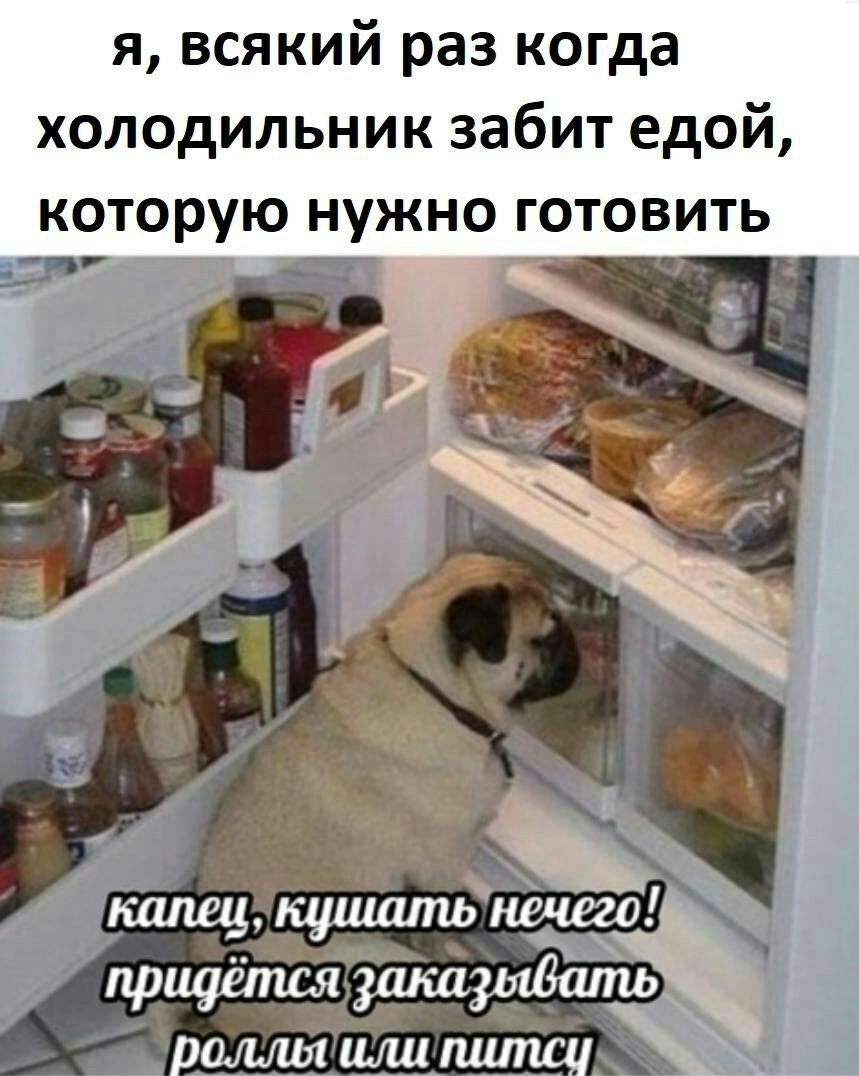 я всякий раз когда холодильник забит едой которую нужно готовить капец кушшпЫншего приуётш зшсщыдшпь 1 радшт шш питсц _