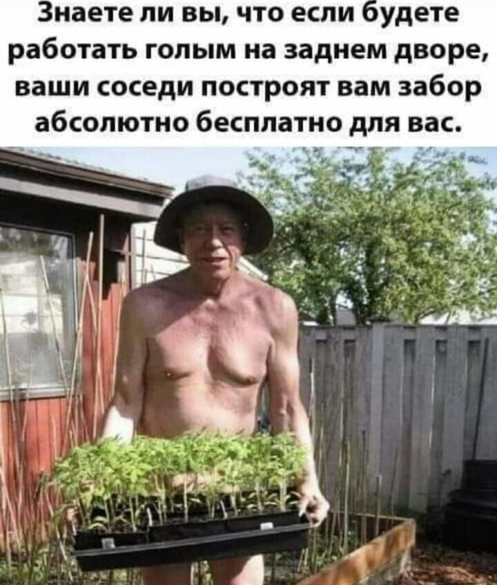 Знаете ли вы что если удете работать голым на заднем дворе ваши соседи построят вам забор абсолютно бесплатно для вас