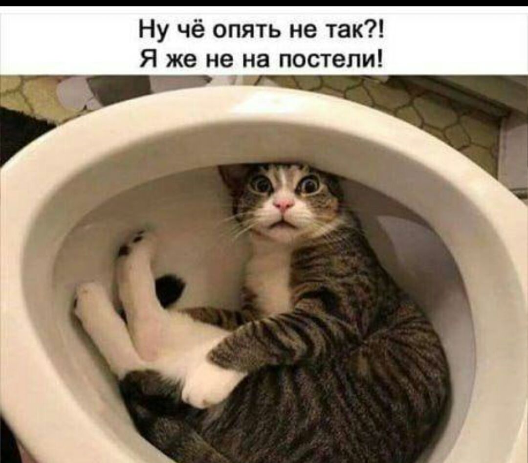 Ну чё опять не так Я же не на постели А
