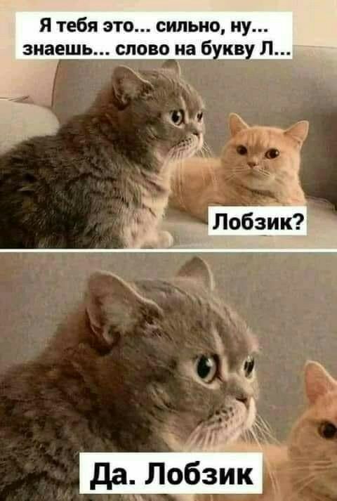 Я тебя это сильно ну знаешь слово на 6 кв Л __ А да Лобзик