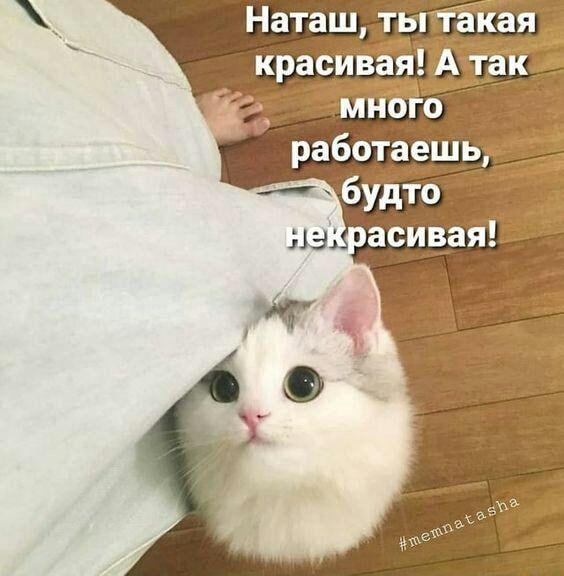 Наташ ты красивая работаешь __ будто