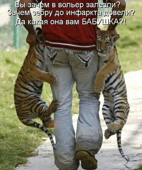 к я она вам БАБ Вы з м в вольер за ем ру до инфаркт