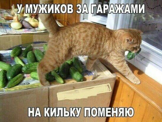 УЩУЖИКОВ 3АГЕАРіАЖАіі МИ