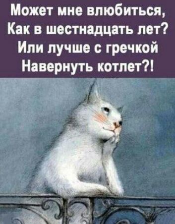 Может мне влюбиться Как в шестнадцать лет Или лучше с гречкой Навернуть котлет