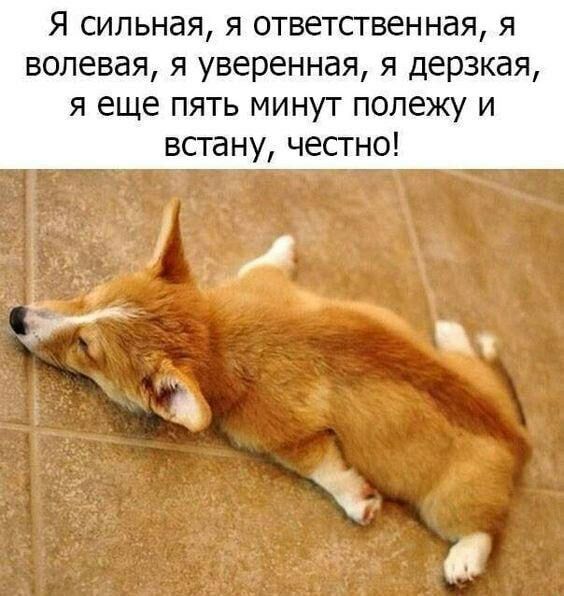 Я СИПЬНдЯ Я ответсгвенная Я волевая Я уверенная Я дерзкая я еще пять минут полежу и всгану чесгно