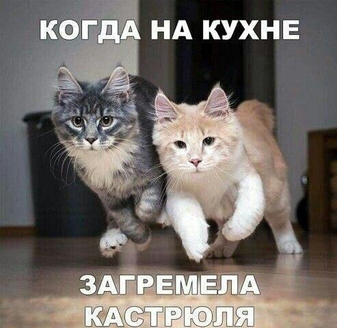 НА КУХНЕ