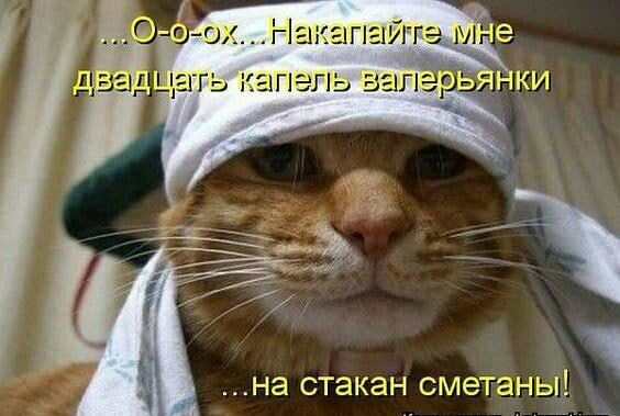на стакан СМЭТЭНЬЦ