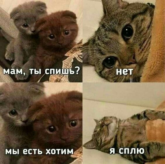МЫ ЕСТЬ ХОТИМ 5 Я СПЛЮ