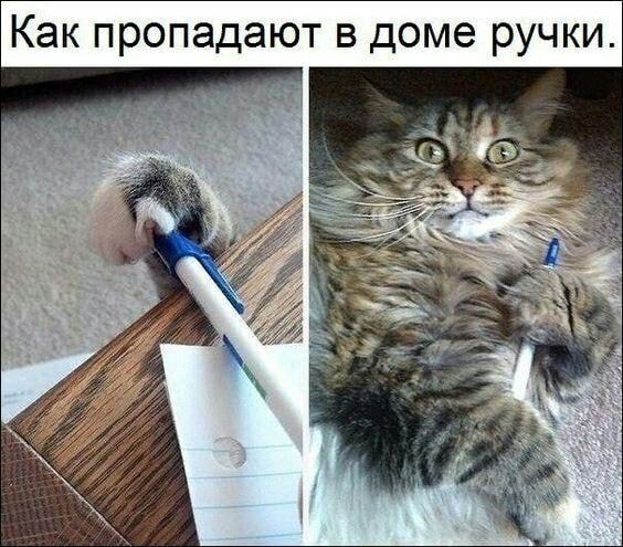 Как пропадают в доме ручки