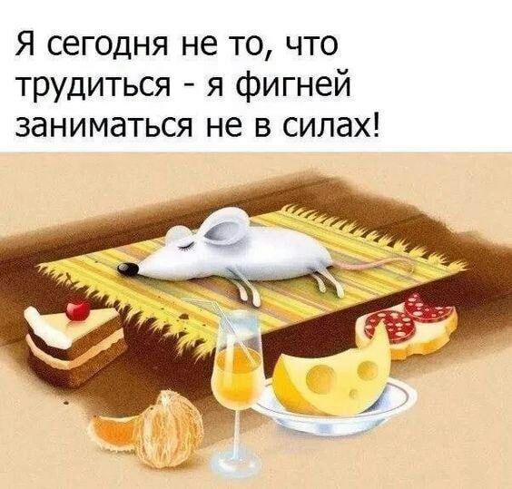 Я сегодня не то что трудиться я фигней заниматься не в силах