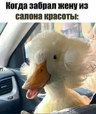 ноша забпап жену из салона нпасоты_ 1