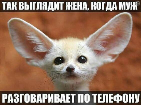 ПШ ВЫППЩИТ ЖЕНА НМШ МУ _ РПЗШВАРИВАП ТШЕФВШ