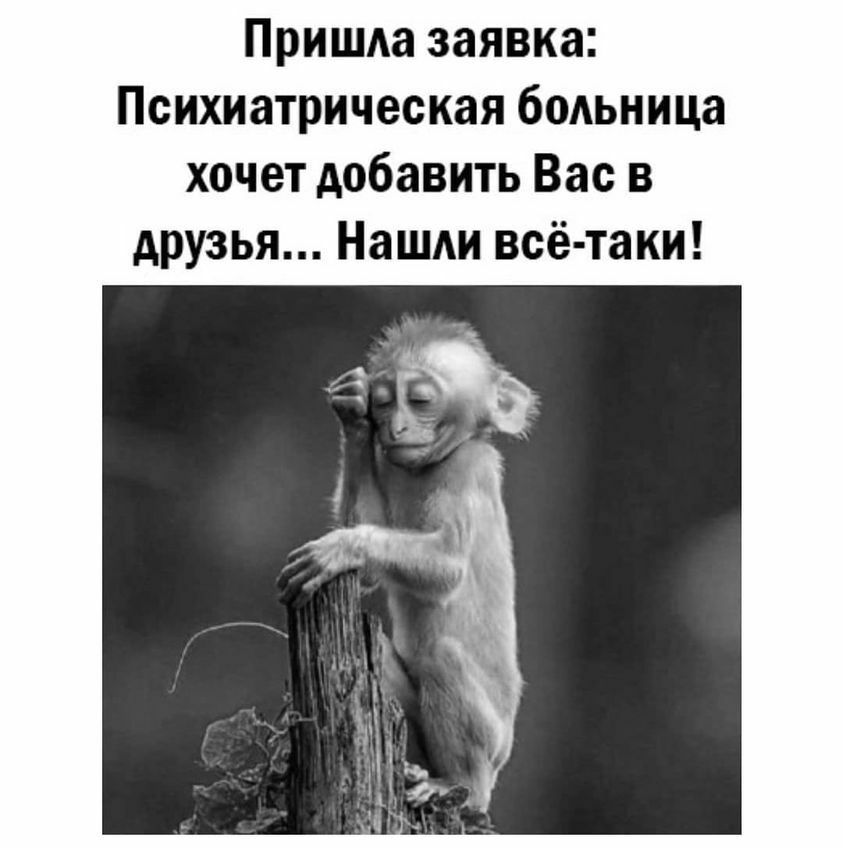 Пришла заявка Психиатрическая больница хочет добавить Вас в друзья Нашли всё таки