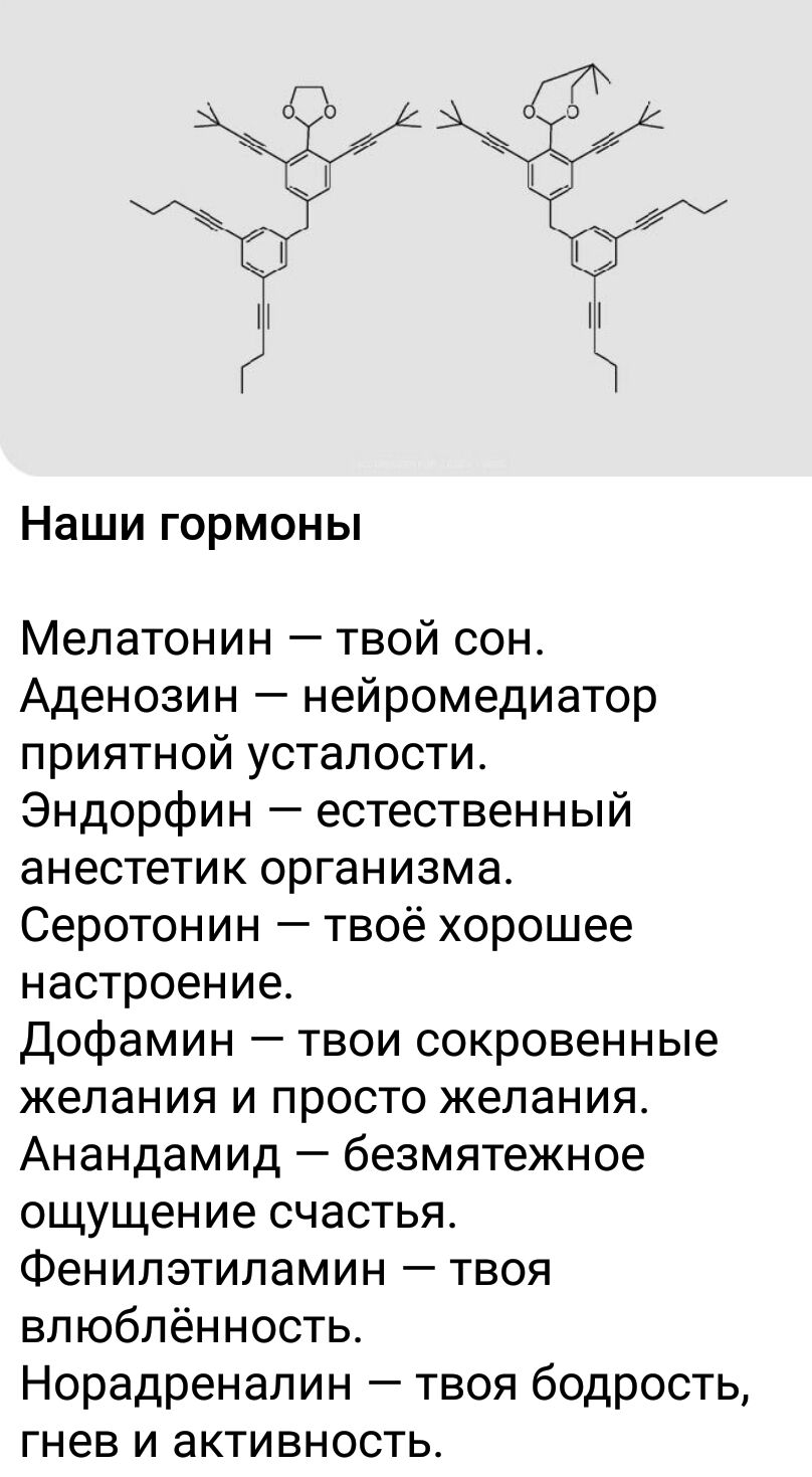 Наши гормоны Мепатонин твой сон Аденозин нейромедиатор приятной усталости Эндорфин естественный анестетик организма Серотонин твоё хорошее настроение Дофамин твои сокровенные желания и просто желания Анандамид безмятежное ощущение счастья Фенилэтиламин твоя влюбленность Норадренапин твоя бодрость гнев и активность