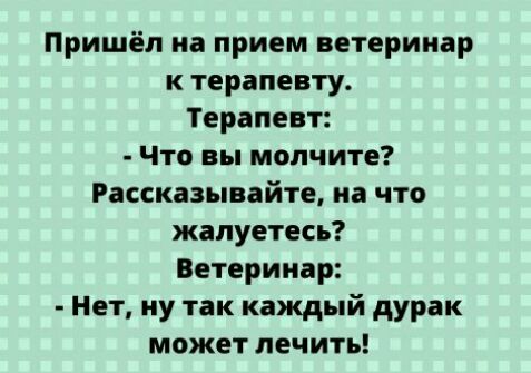 Пришёл на прием ветеринар к терапевту Терапевт Что вы молчите Рассказывайте на что жалуетесь Ветеринар Нет ну так каждый дурак может лечить