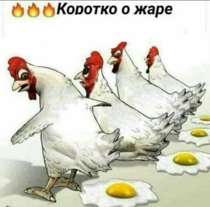 ф Кооотко о жаре