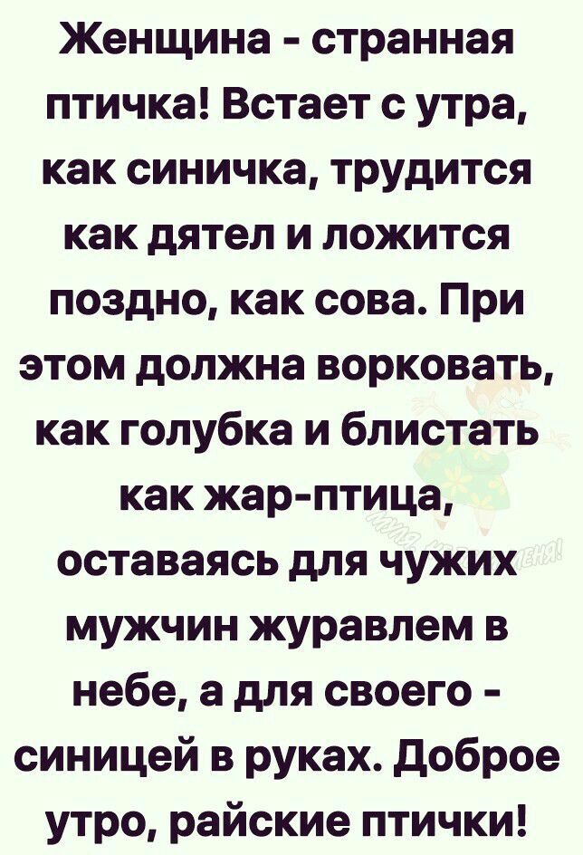 Женщина странная птичка Встает с утра как синичка трудится как дятел и ложится поздно как сова При этом должна ворковать как голубка и блистать как жар птица оставаясь для чужих мужчин журавлем в небе а для своего синицей в руках доброе утро райские птички