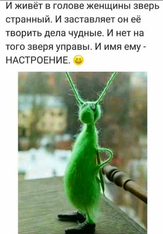 И живёт в голове женщины зверь странный И заставляет он её творить дела чудные И нет на того зверя управы И имя ему НАСТРОЕНИЕ