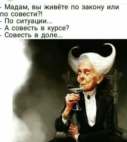 Мадам вы живёте по закону или по совести По ситуации А совесть в курсе Совесть в доле