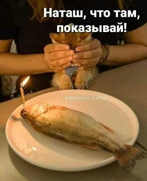 Наташ что там пбКазывай 6 А дг