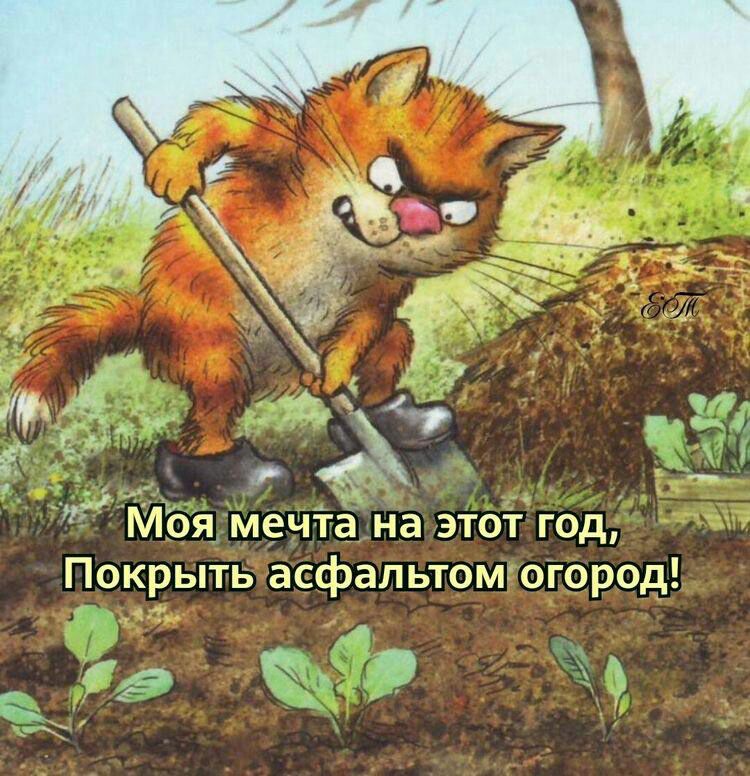 _ Моя мечта на этот год Покрыть асфальтомогород 59