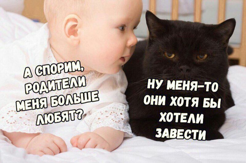 ну менято они хотя вы хотели цвести