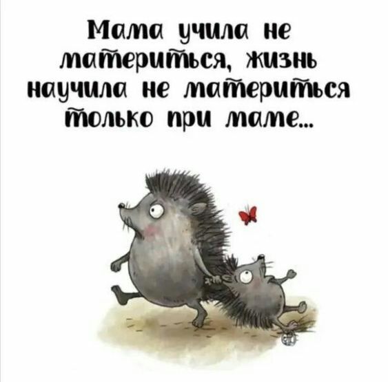 Мата учиш ие матерится жизнь научила не материться только при мате