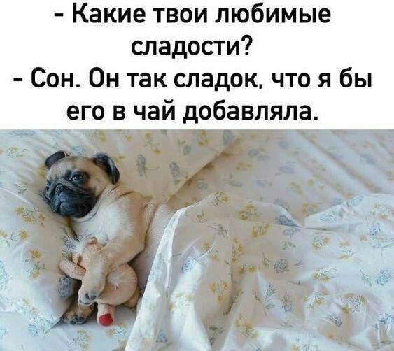 Какие твои любимые сладости Сон Он так сладок что я бы его в чай добавляла