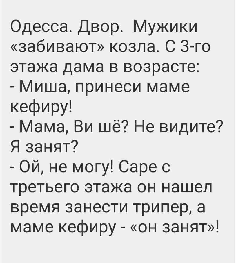 Одесса Двор Мужики забивают козла С 3го этажа дама в возрасте Миша принеси маме кефиру Мама Ви шё Не видите Я занят Ой не могу Саре с третьего этажа он нашел время занести трипер а маме кефиру он занят