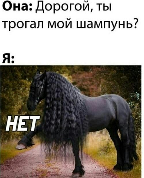 Она Дорогой ты трогал мой шампунь