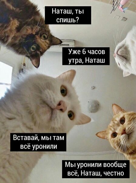 Наташ ты спишь